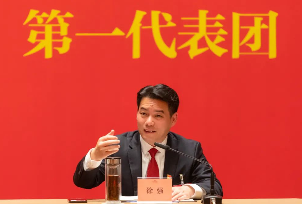 徐强参加区第十次党代会第一代表团审议