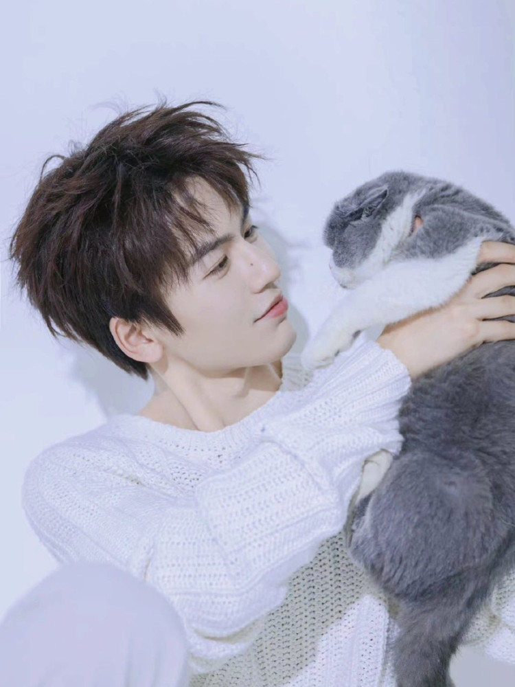 张凌赫帅气男生插图