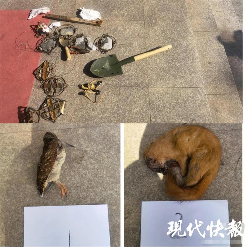 溧陽3人非法狩獵野生動物被抓