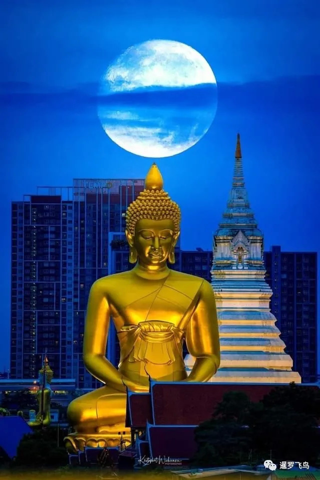 69米20层楼高,历时5年耗资1亿铢,曼谷巨佛成为泰国新地标