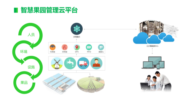电商风潮下的果品批发变革之路