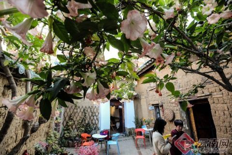 昆明海晏村传统小村焕生机