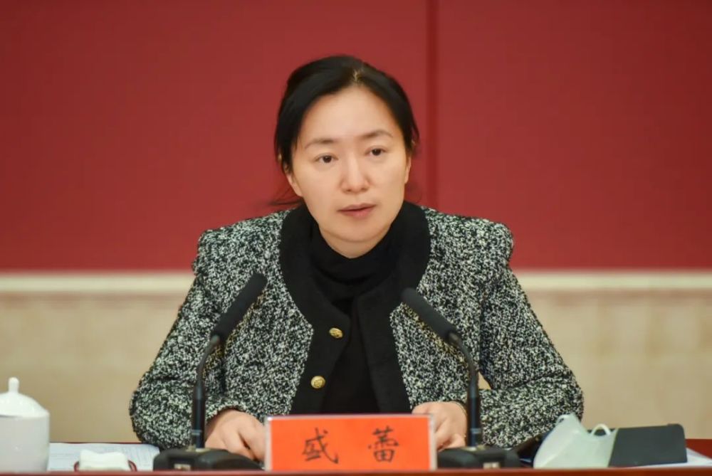 盛蕾要求,全市各地各部门要以项目的提质增效推动高质量发展,提升"532