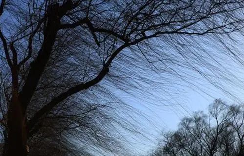 西北风作者谷士强北京朗诵吾安汝止大连