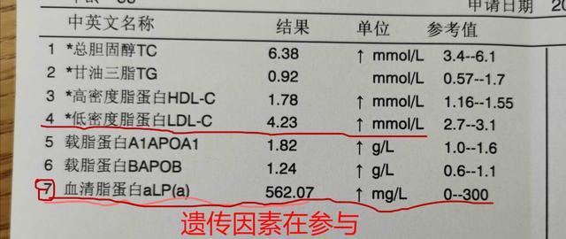血脂中脂蛋白a升高有什么危险怎么治疗