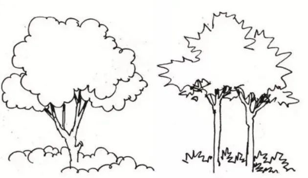 如何画树 腾讯网