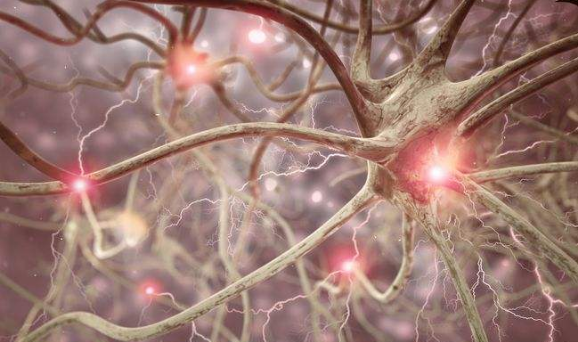 植物神经紊乱的躯体症与脏腑功能失调有关