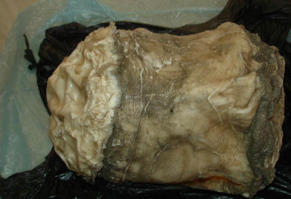 6年前辽宁老农捡到140斤太岁从丹东鸡王到锒铛入狱这其中他经历了什么