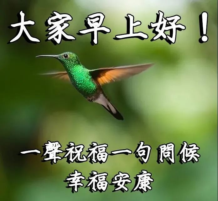 9张最新非常漂亮的美女早安动态表情图片春日最美早上好美女表情图片