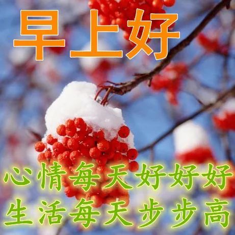 快乐的人,修炼了一份淡然的心态,一切随缘,不为难自己,不勉强他人,不