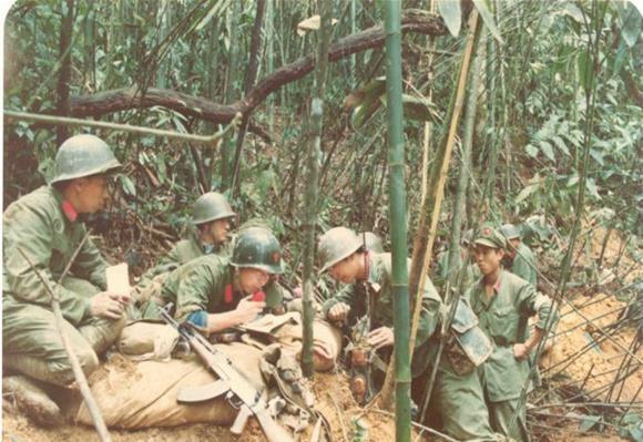 中越战争三光政策图片图片