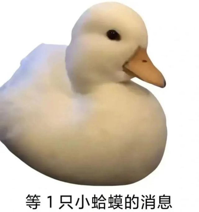 表情包|日常聊天沙雕搞笑抖音热门