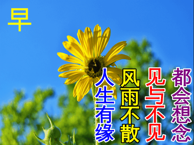 週四最美早安問候祝福語圖片帶字溫馨|節氣|動態表情圖片|大寒