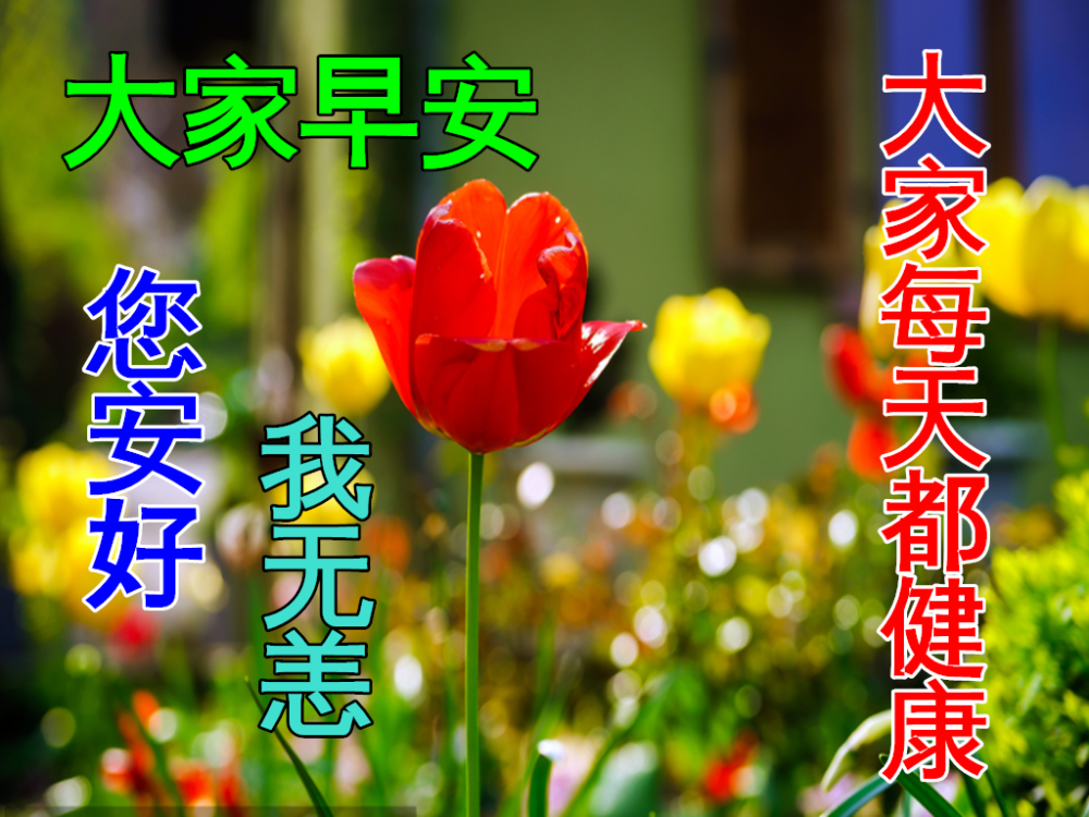 12月30日最新早上好日常祝福语大全早晨好日常问候语录新版
