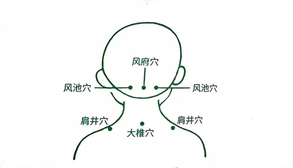 如果背部被風寒所害,則傷於膀胱經,以及肺俞,這時候人體毫毛聳直,皮膚