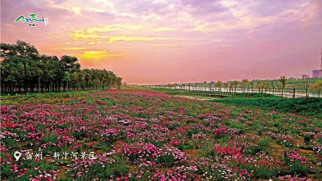 宿州新汴河景区
