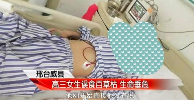 18歲高三女生被姐夫投毒百草枯讓其喝下預防感冒披著羊皮的狼