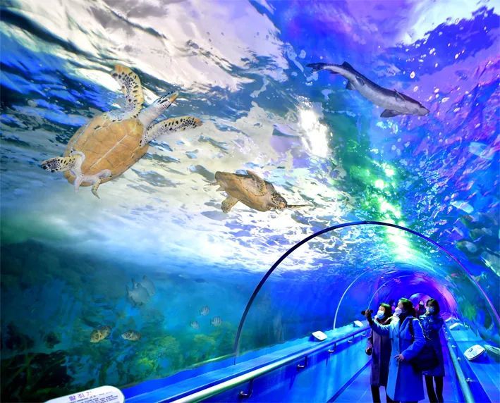 观光中央动物园水族馆