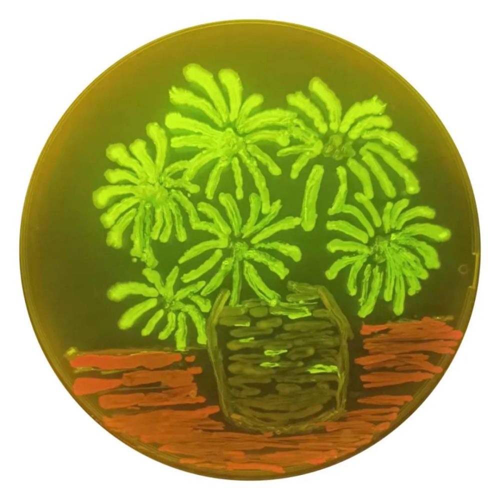 真绘玩用微生物画小脑斧天大这门课的期末考试火出圈