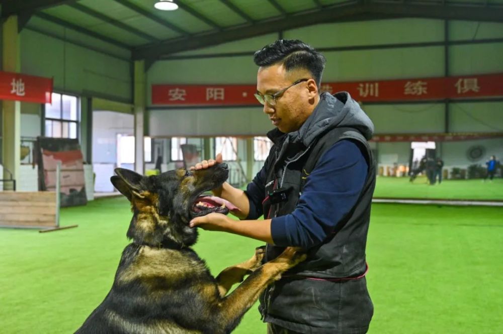 我在快手当训犬师仅训犬年流水400万带火当地宠物行业