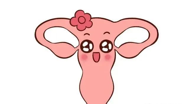 天伦科普卵巢出现问题对于女性来说意味着什么