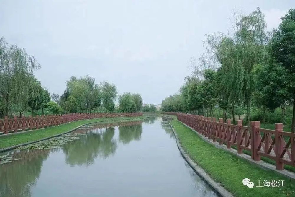 新校落户新增车位新建绿地松江洞泾镇2021年度民生亮点出炉啦