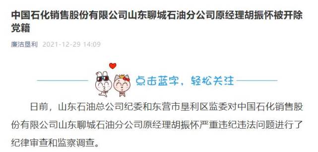 中国石化销售股份有限公司山东聊城石油分公司原经理胡振怀被开除党籍