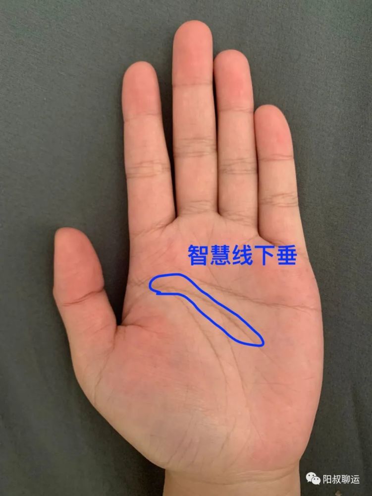 纹路来看三线智慧线有弧度带下垂,精神世界重于物质世界,面对生活容易