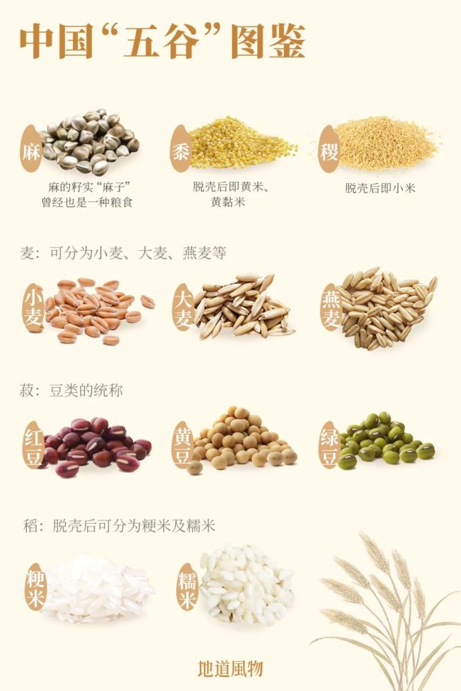 黍,稷,麦,菽,稻图片图片