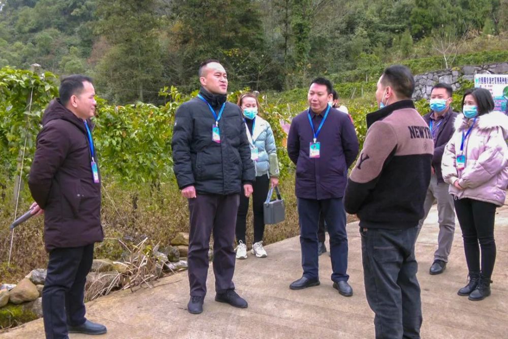 12月29日,县委副书记,县人民政府县长王炳卜,以人