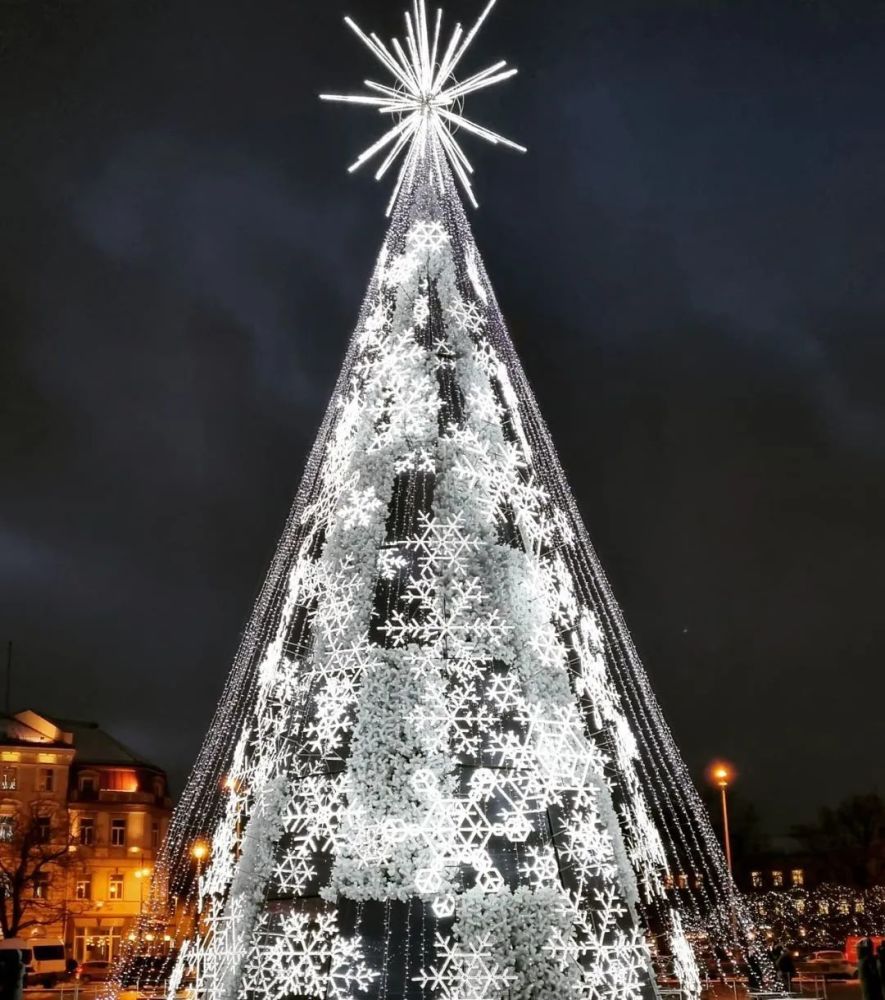 全球最美圣诞树出炉刷爆ins网友英国这棵也太不走心了