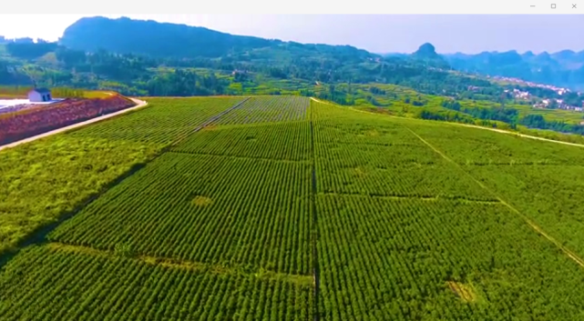 【在乡村振兴上开新局】织金县珠藏镇:狠抓产业发展 巩固脱贫攻坚成果