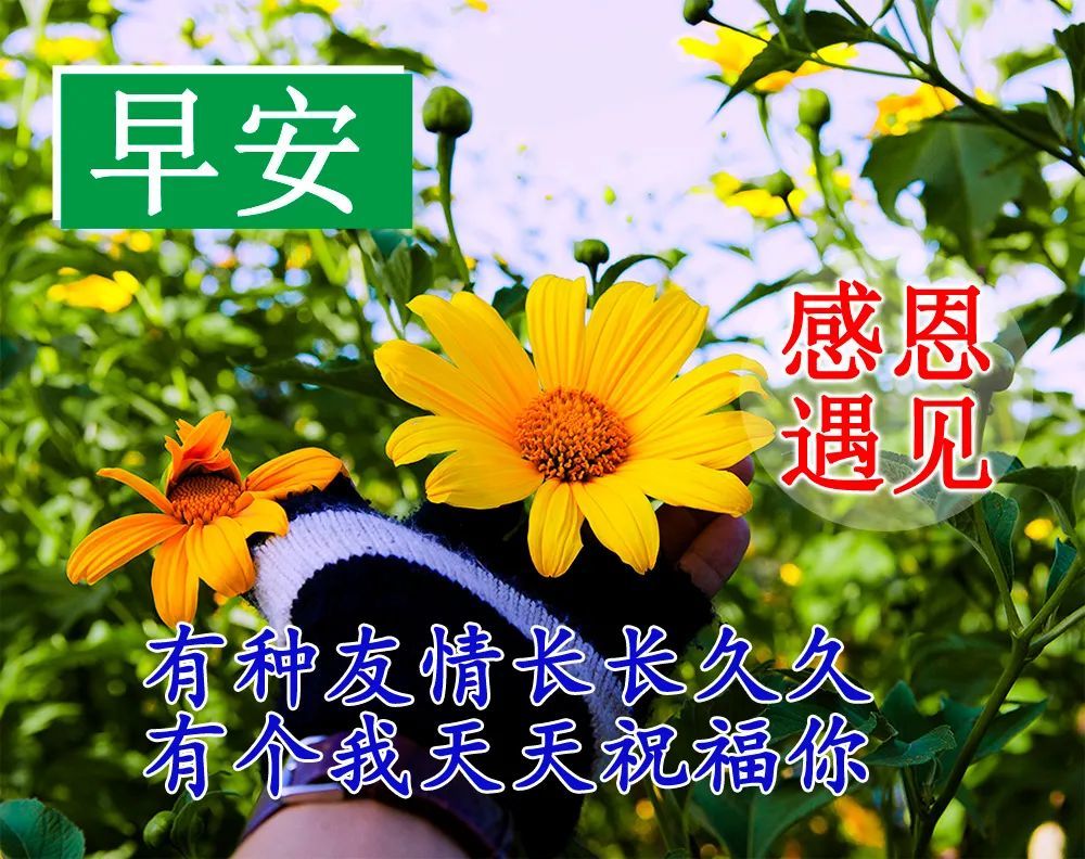 常怀感恩之心的人,愉己也愉人;常怀欣赏之心的人,悦己也悦人.