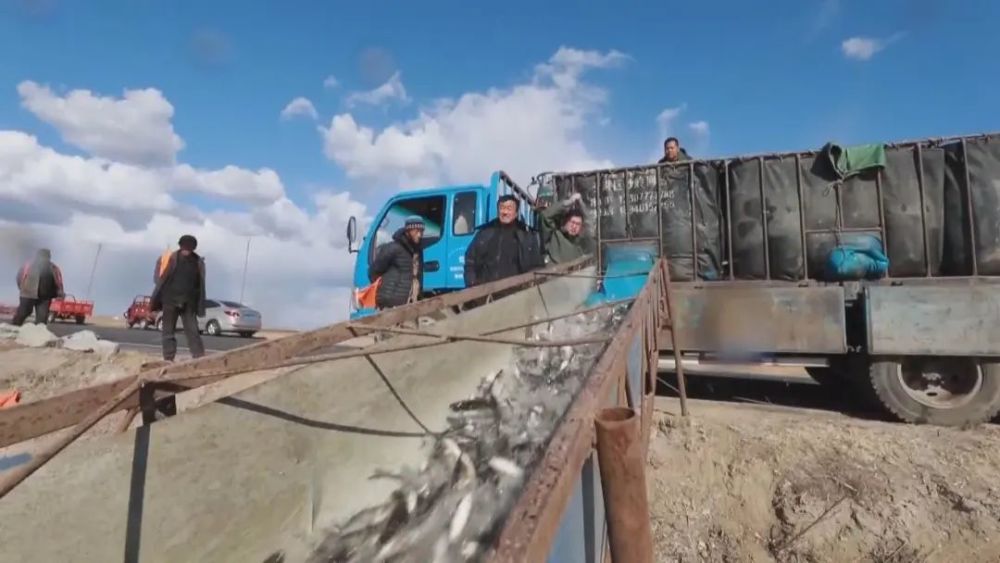 欢冰乐雪看吉林查干湖生态向好年年有鱼年年渔