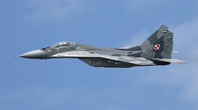 战斗机波兰空军战机圆环波兰空军现役人员约1.
