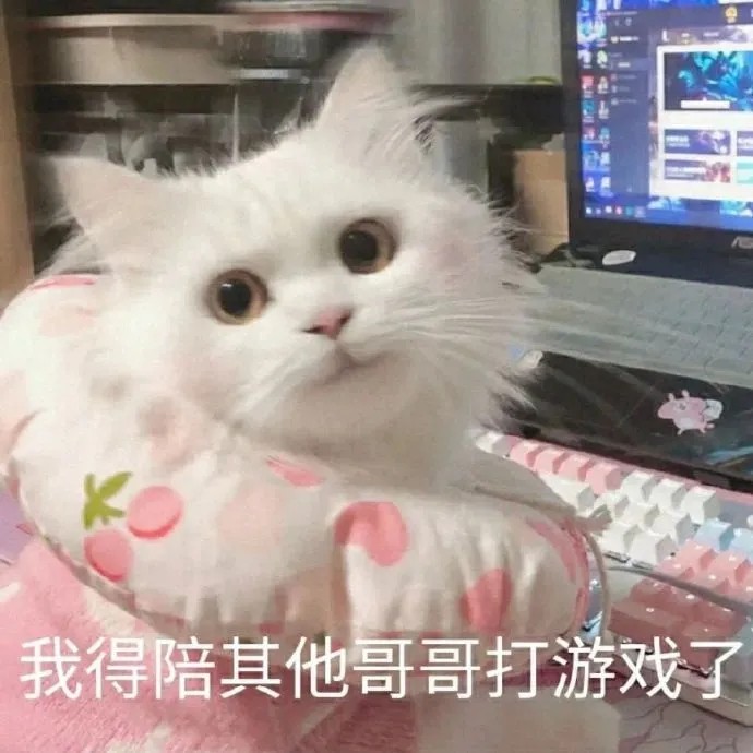 猫猫表情包我得陪其他哥哥打游戏了