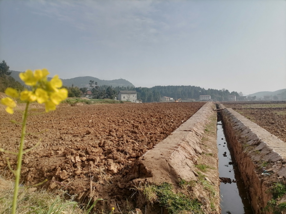 绵阳梓潼414万亩高标准农田火热推进
