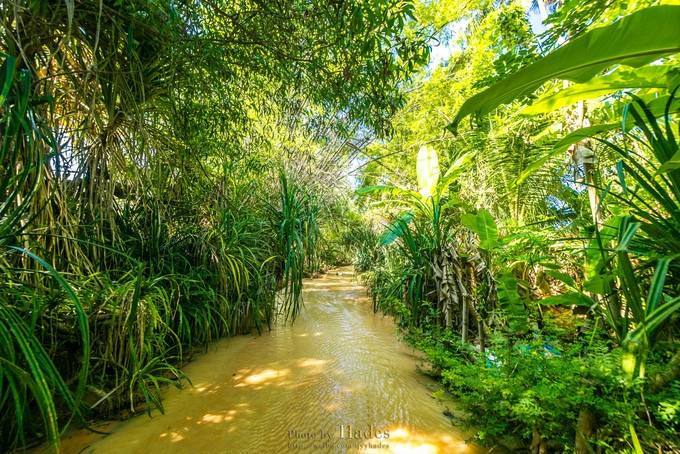 越南北部雨林里有一种令人感到恐惧的生物