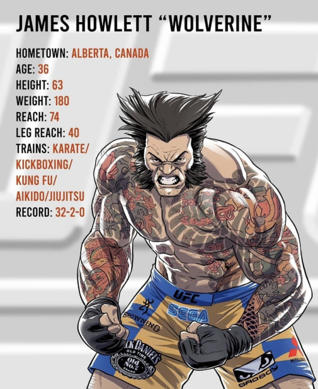 动漫风格ufc自由格斗选手