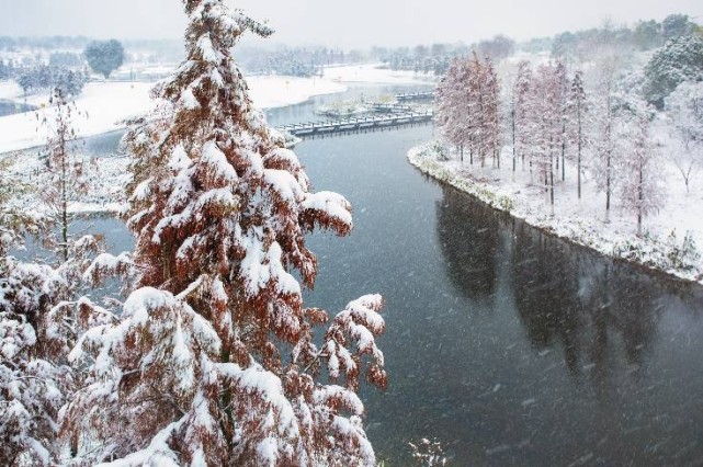 白竺青草湖雪景图片