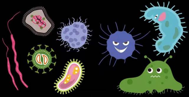 罗伊氏乳杆菌,鼠李糖乳杆菌和布拉氏酵母菌都可以起到一定效果