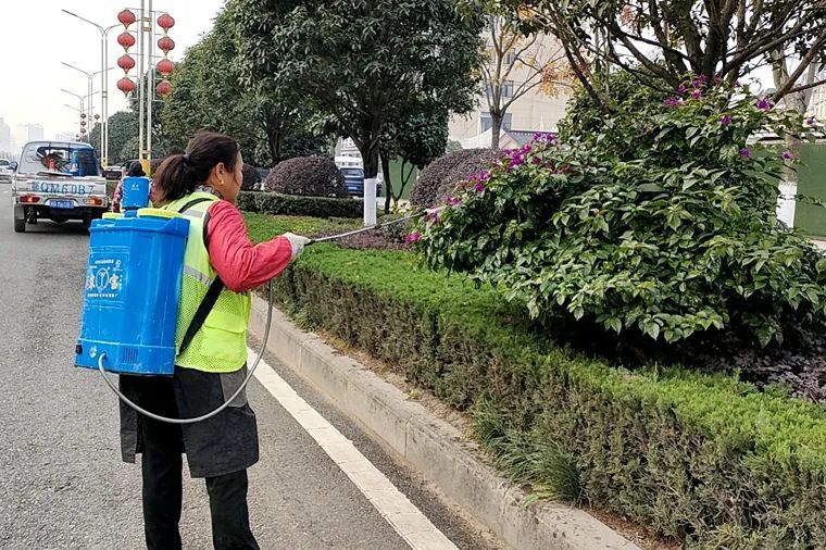 聚焦科学养护绿化植物防冻御寒