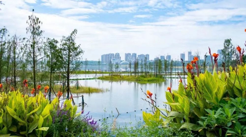 程锐:从兴隆湖湿地公园到成都公园城市建设丨委员专访_腾讯新闻