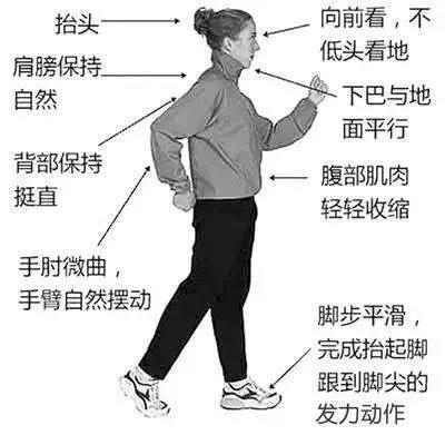 每天暴走1万步,当心膝盖报废,怎么走路锻炼才合适呢?