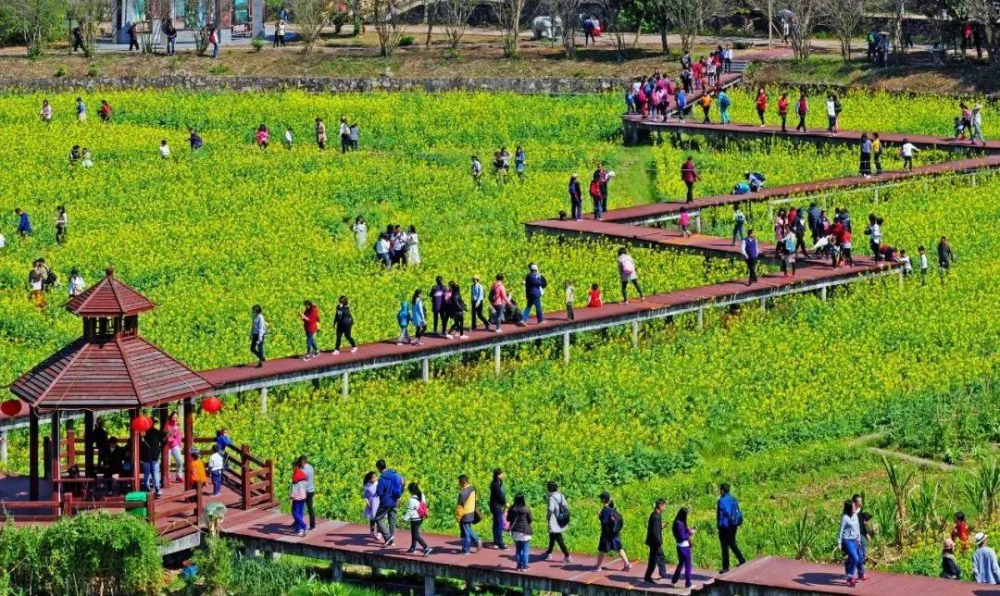 元旦倒计时!这4条乡村游路线带你感受魅力广东……_腾讯新闻