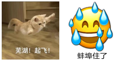流媒体平台中以模因传播,人际传播等方式迅速走红,并衍生出系列表情包