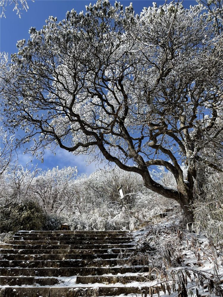 绵阳千佛山雪景图片