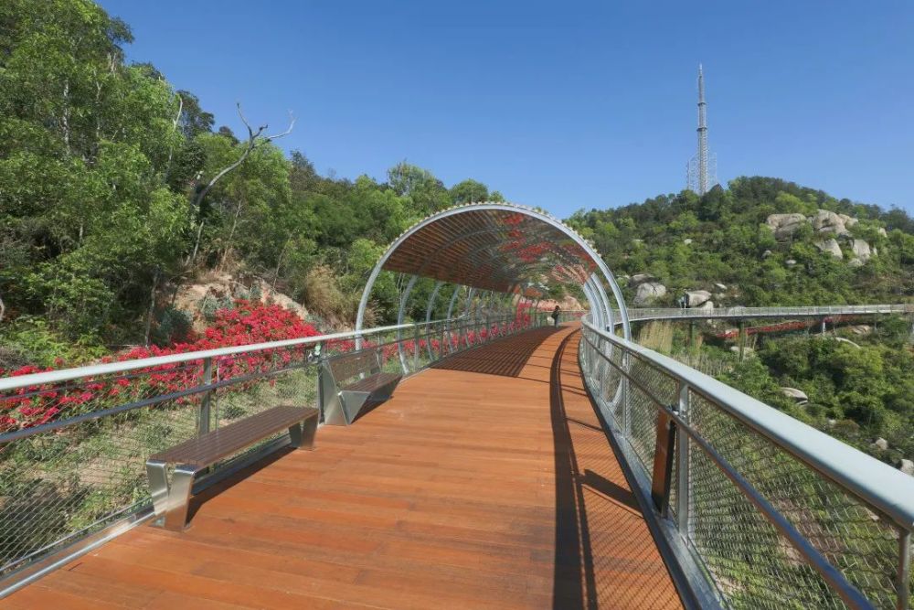 景山道"上新"!2.4公里山海步道美出新高度!今起预约_腾讯新闻