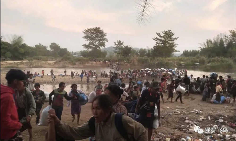 获取网页源码有什么用难民营结尾明年预计收留缅甸人春运