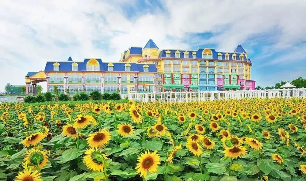 【百万葵园】99元!2大2小/3大门票!周末通用!_腾讯新闻